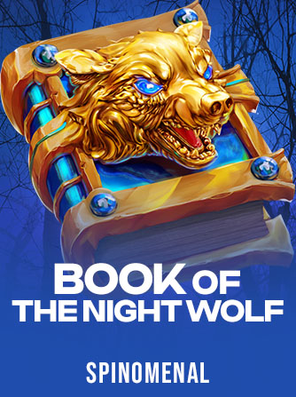 Book of The Night Wolf